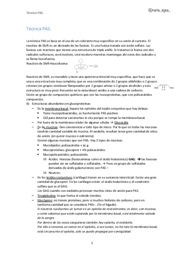 Miniatura del documento Tecnica-PAS.pdf