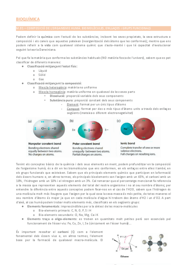 Miniatura del documento bioquimica-magistrals.pdf