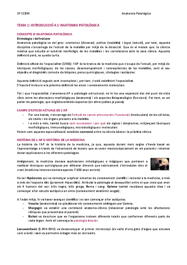 Miniatura del documento TEMA-1-Introduccio-a-lAP.pdf