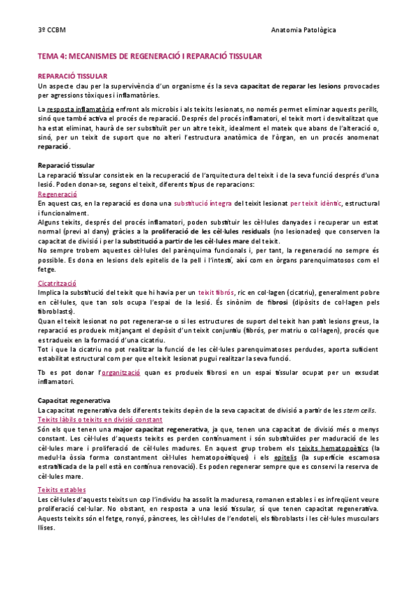 Miniatura del documento TEMA-4-Mecanismes-de-regeneracio-i-reparacio-tissular.pdf
