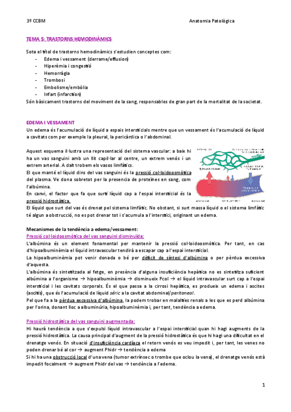 Miniatura del documento TEMA-5-Trastorns-hemodinamics.pdf