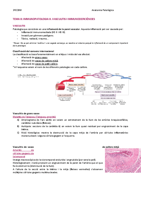Miniatura del documento TEMA-8-Vasculitis-i-immunodeficiencies.pdf
