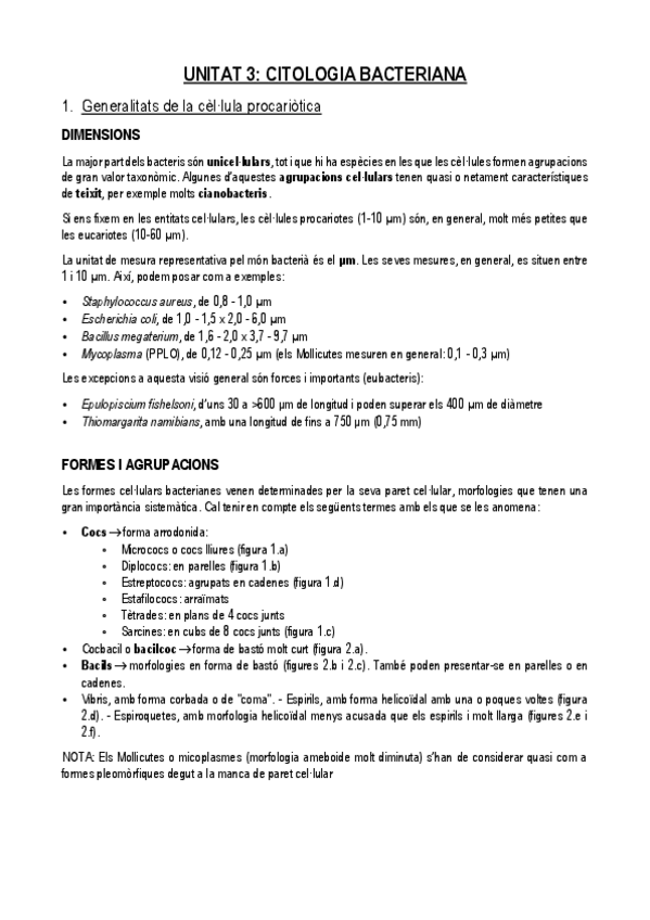 Miniatura del documento UNITAT-3.pdf