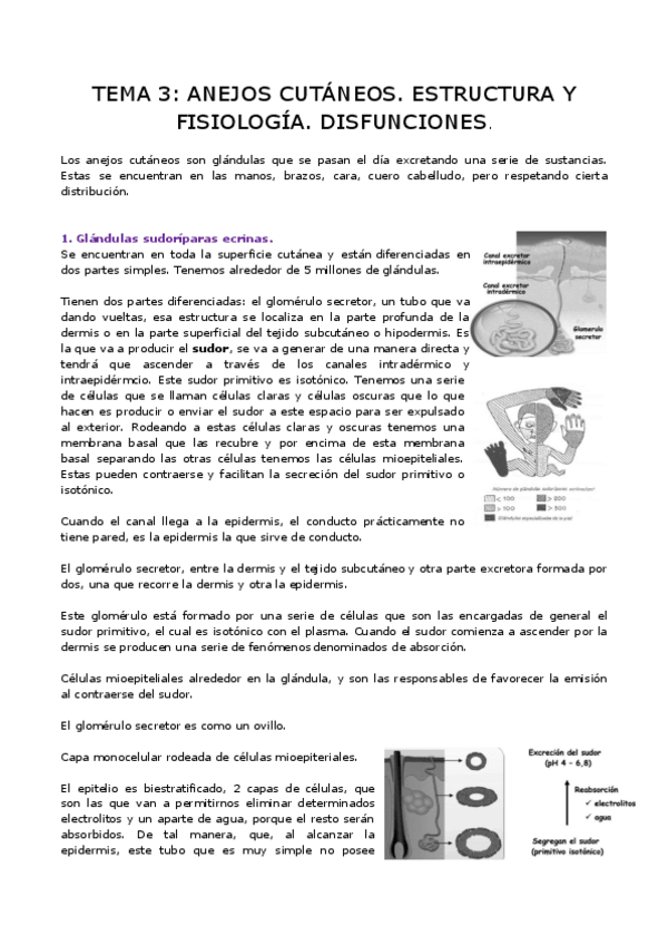 Miniatura del documento TEMA-3-dermo.pdf