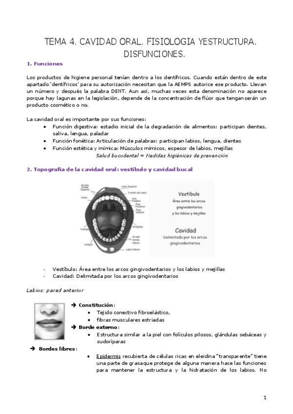 Miniatura del documento TEMA-4-dermo.pdf