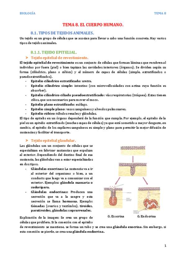 Miniatura del documento Tema-8-Completo.pdf