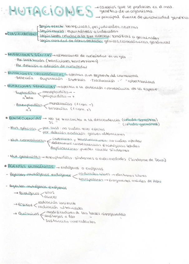 Miniatura del documento Mutaciones-.pdf