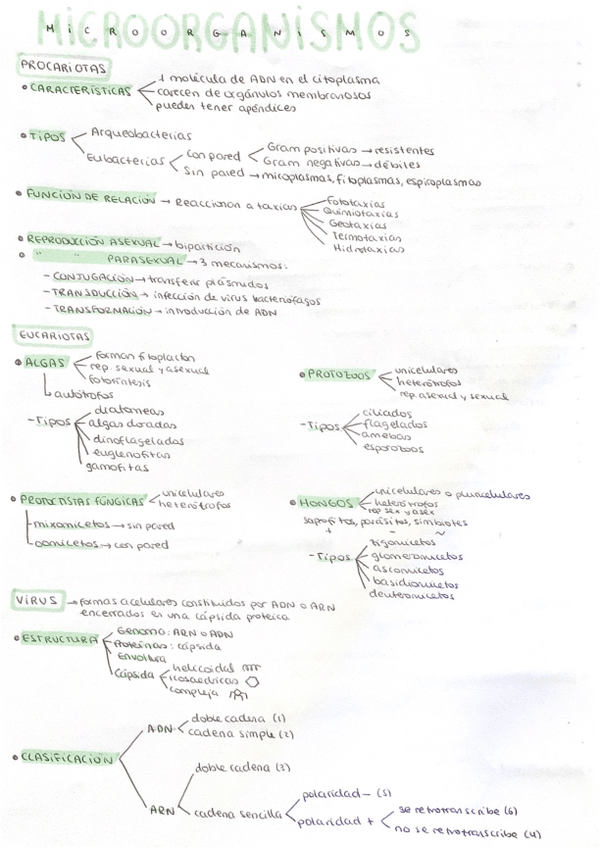 Miniatura del documento Microorganismos-y-enfermedades-.pdf