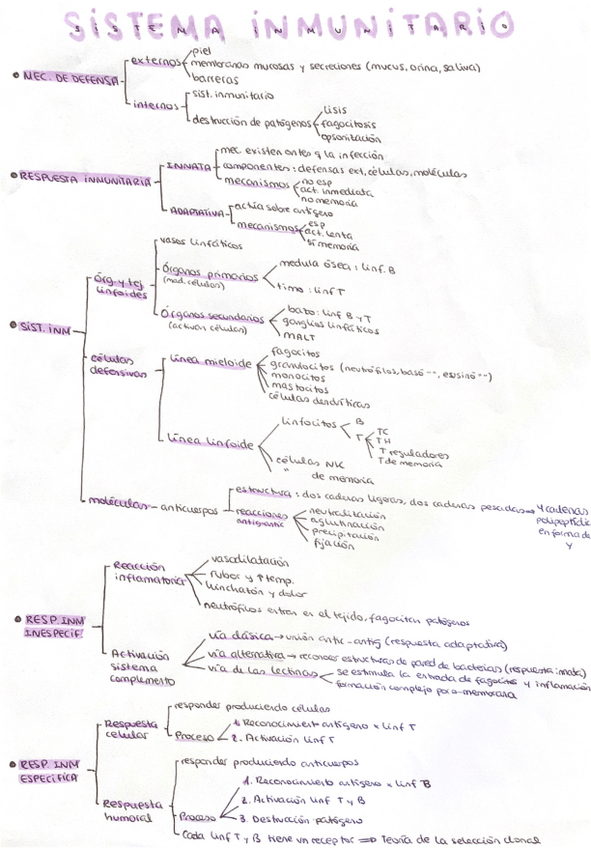 Miniatura del documento Sistema-inmunitario-.pdf