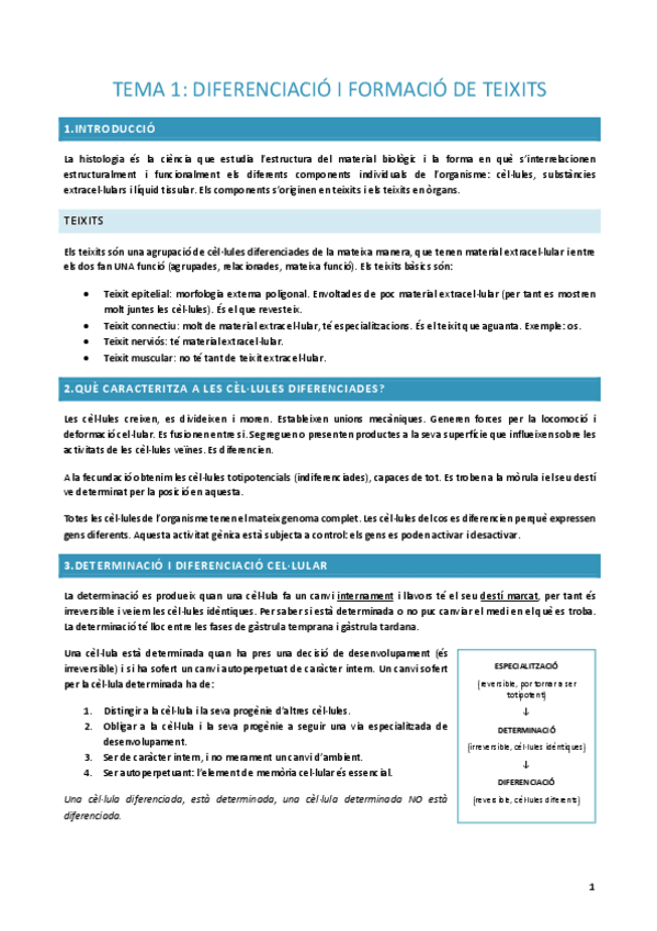 Miniatura del documento Resum-histologia.pdf