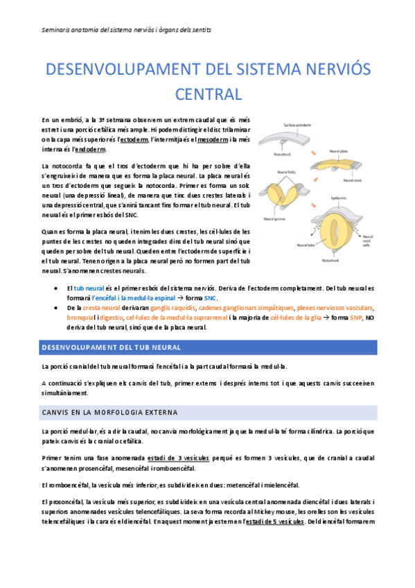 Miniatura del documento Seminaris.pdf