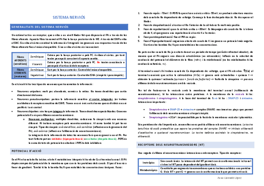 Miniatura del documento Resum.pdf