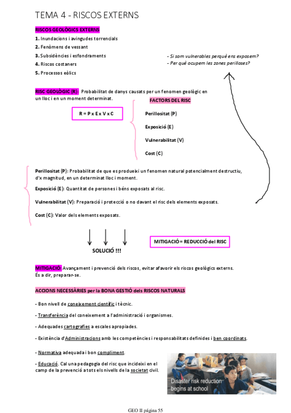 Miniatura del documento TEMA 4 - RISCOS EXTERNS