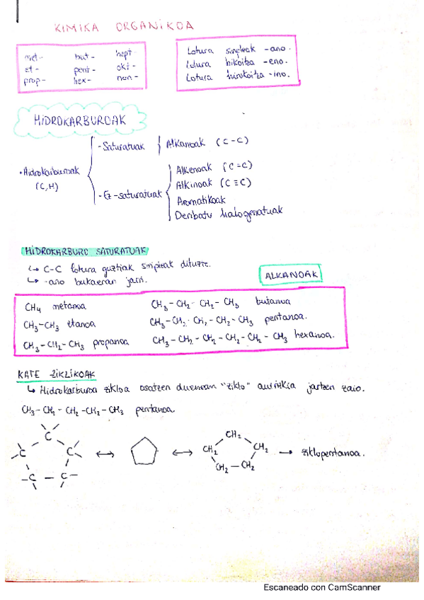 Miniatura del documento Formulazio-organikoa-teoria.pdf