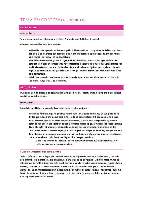 Miniatura del documento Anatomia-35.pdf