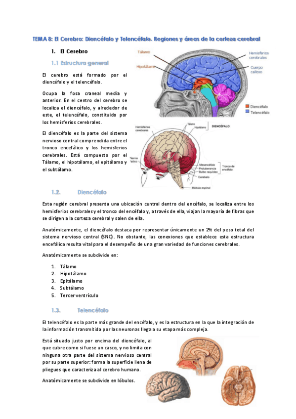 Miniatura del documento Tema-8.pdf