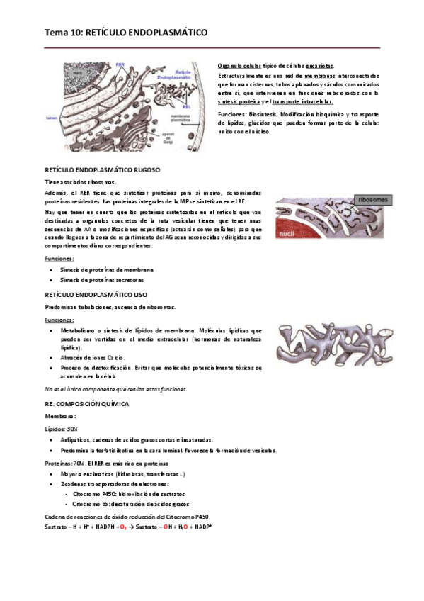 Miniatura del documento Biologia. Tema 10.pdf