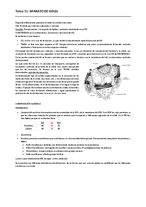 Miniatura del documento Biologia. Tema 11.pdf