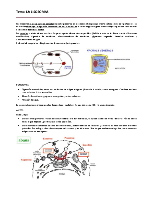 Miniatura del documento Biologia. Tema 12.pdf
