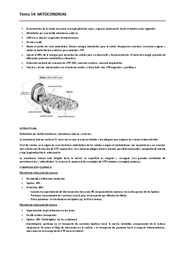Miniatura del documento Biologia. Tema 14.pdf