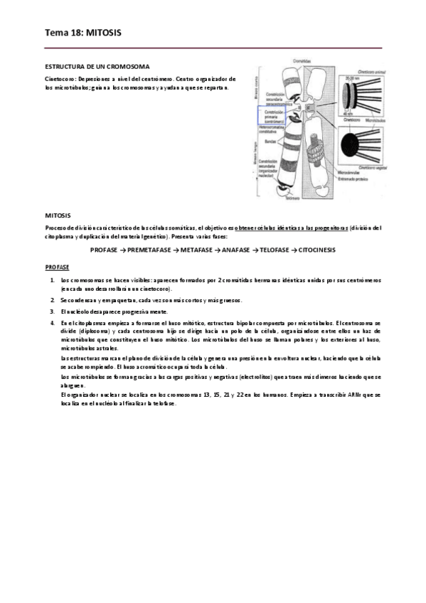 Miniatura del documento Biologia. Tema 18.pdf