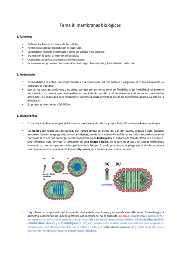 Miniatura del documento BQ8.pdf