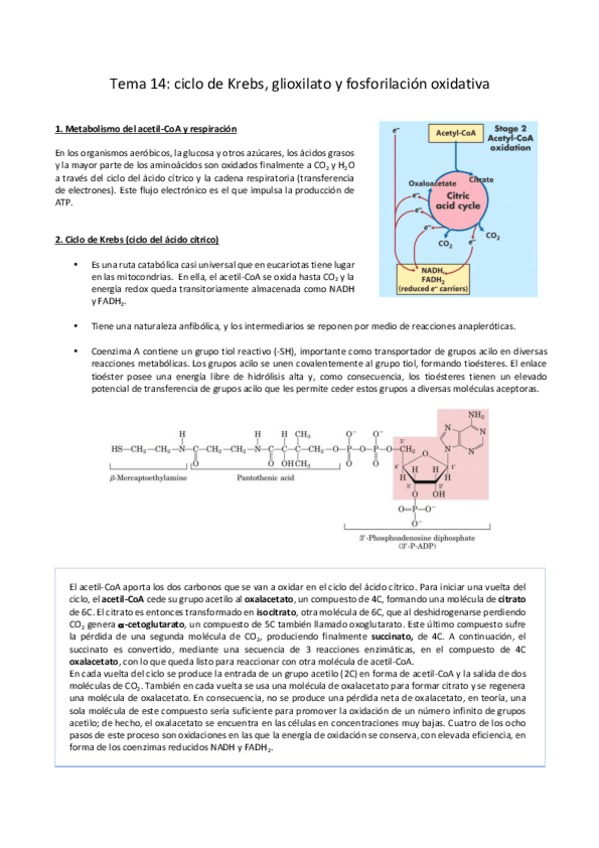 Miniatura del documento BQ14.pdf