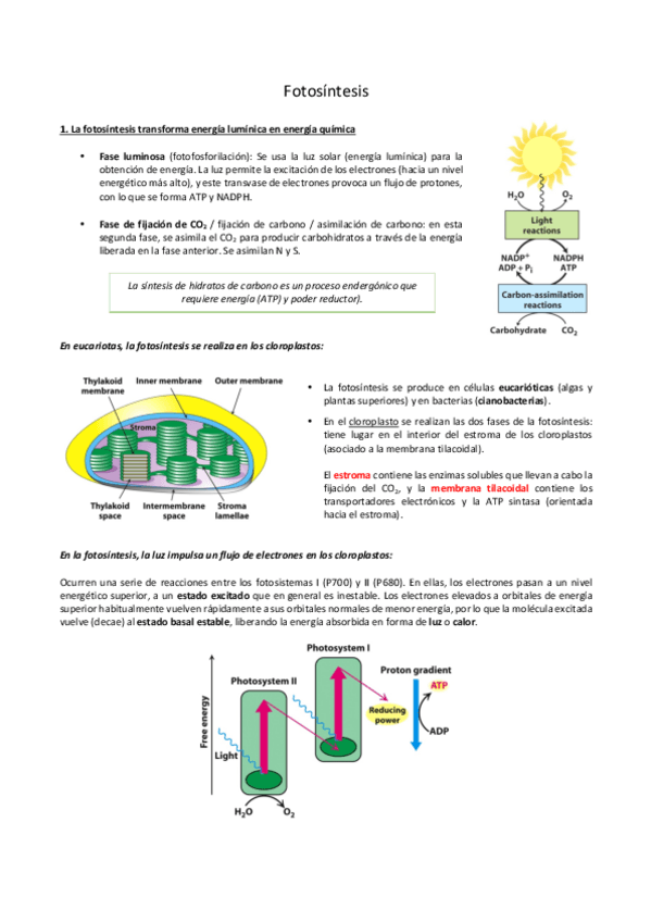 Miniatura del documento BQ16.pdf