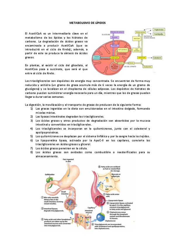 Miniatura del documento BQ17.pdf