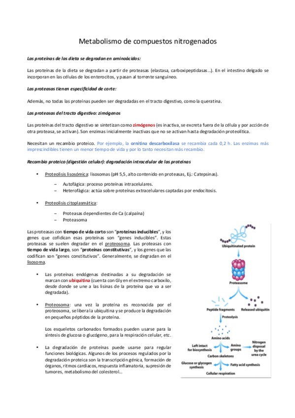 Miniatura del documento BQ18.pdf