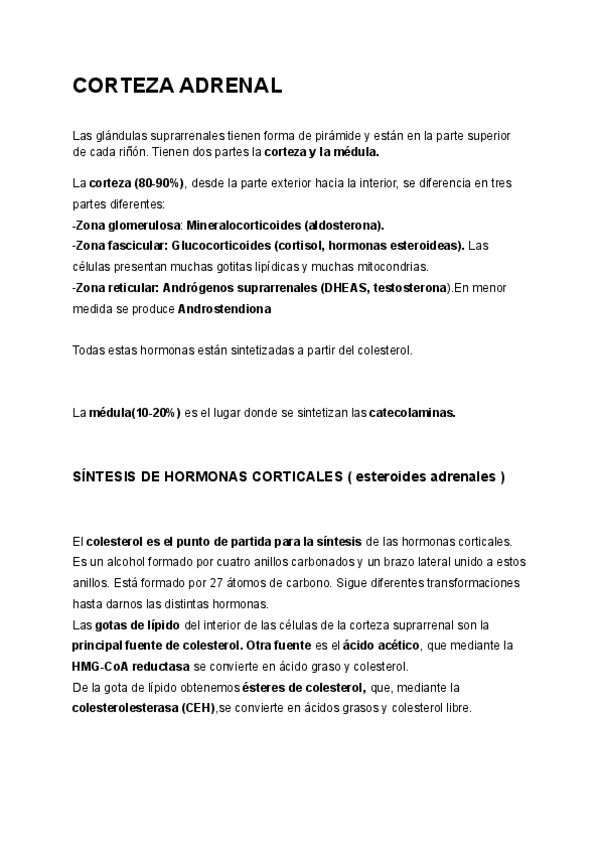 Miniatura del documento corteza-adrenal.pdf
