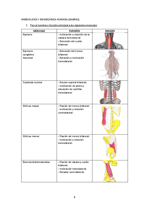 Miniatura del documento KINESIOLOGIA-Y-BIOMECANICA-HUMANA-GABRIEL-FICHAS.pdf