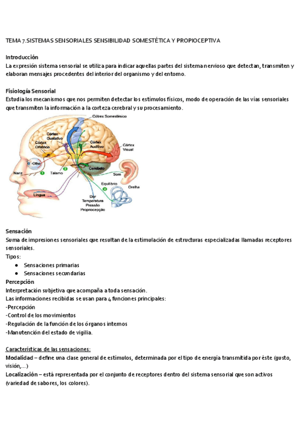 Miniatura del documento Tema-7.pdf