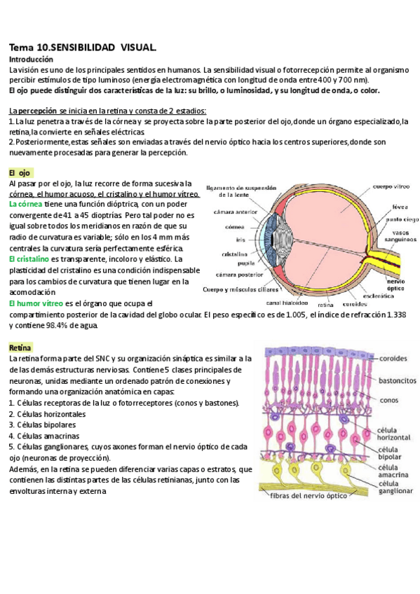 Miniatura del documento Tema-10.pdf