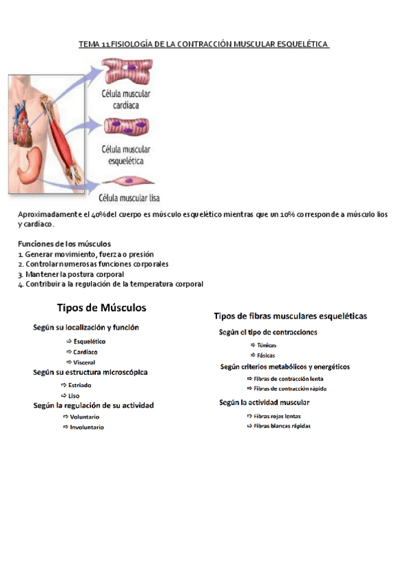 Miniatura del documento Tema-11.pdf