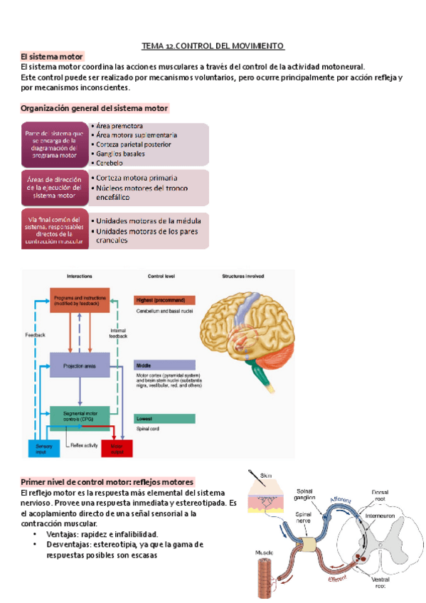 Miniatura del documento Tema-12.pdf