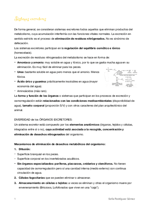 Miniatura del documento 14-Excretor.pdf
