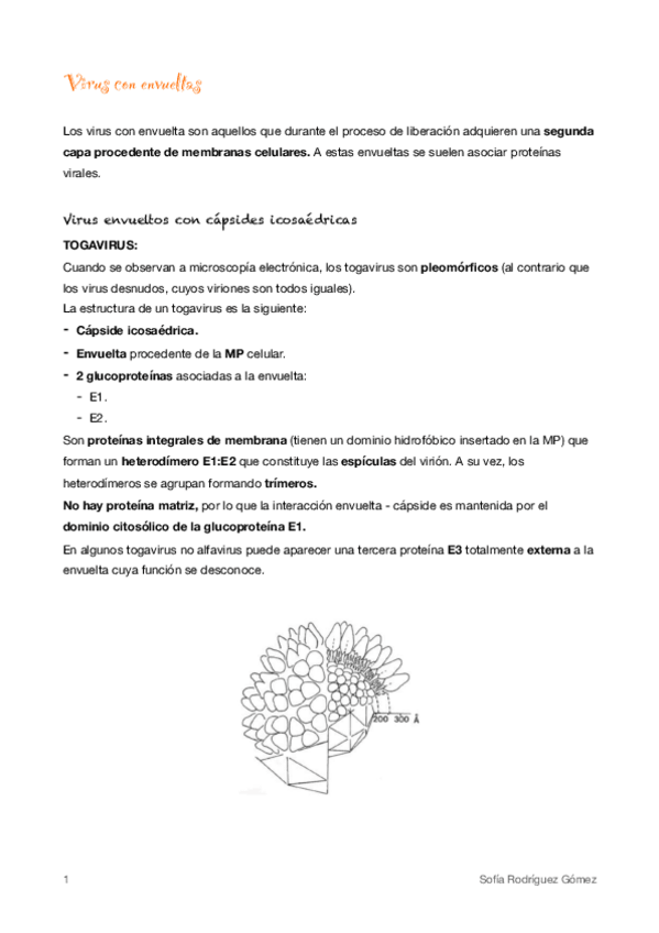 Miniatura del documento 6-Envueltas-y-estructuras-complejas.pdf