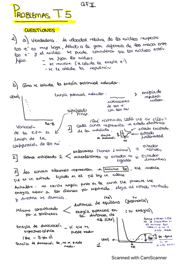 Miniatura del documento T5. Cuestiones y problemas