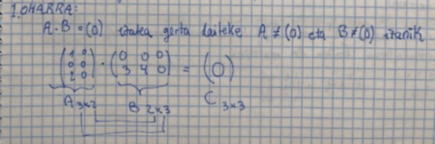 Miniatura del documento 10.pdf