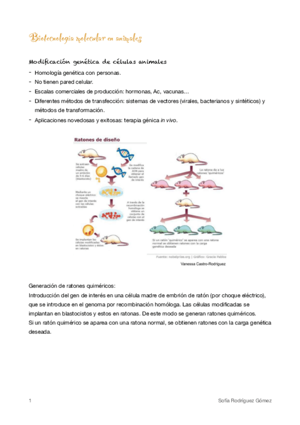 Miniatura del documento 9-BM-en-animales.pdf