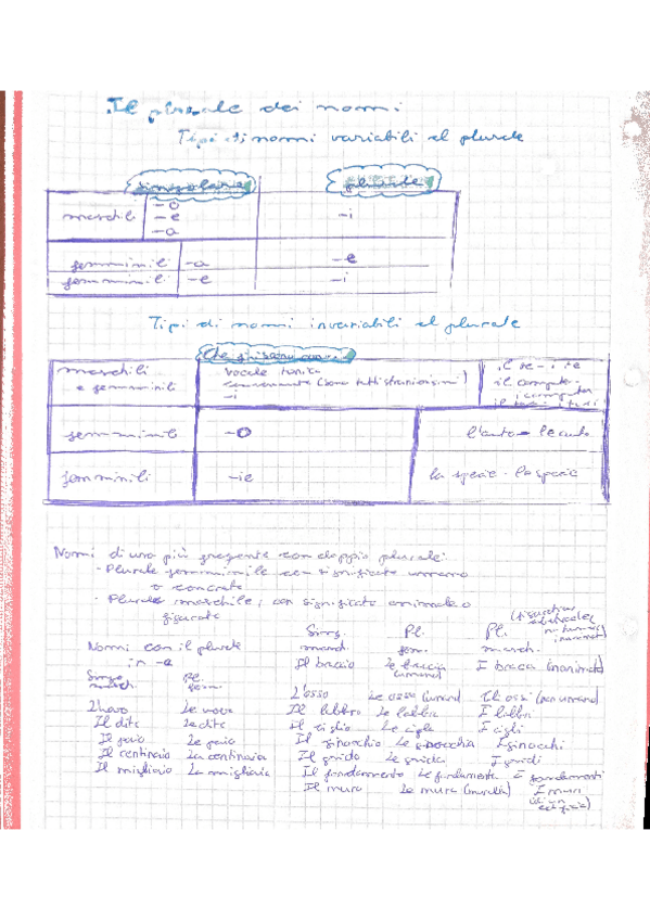 Miniatura del documento Il-plurale-dei-nomi-1.pdf