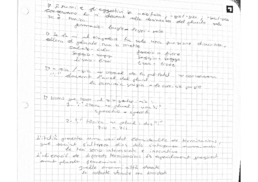 Miniatura del documento Il-plurale-dei-nomi-3.pdf