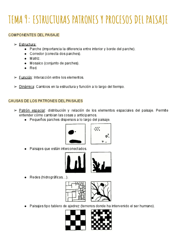 Miniatura del documento TEMA-9-ESTRUCTURAS-PATRONES-Y-PROCESOS-DEL-PAISAJE.pdf