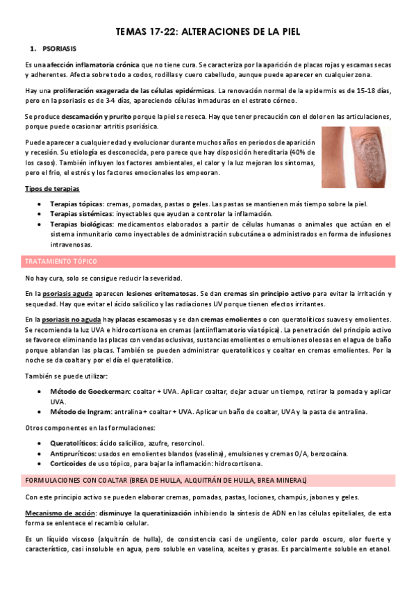 Miniatura del documento Temas-17-22-Piel-.pdf