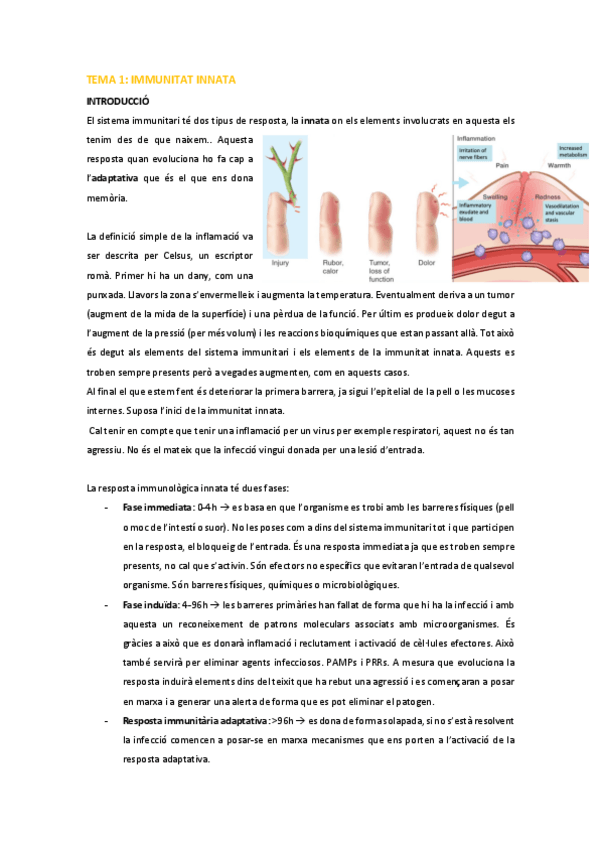 Miniatura del documento IM-Tema-1.pdf