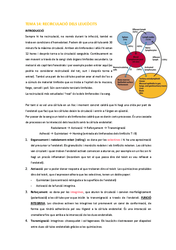 Miniatura del documento IM-Tema-14.pdf