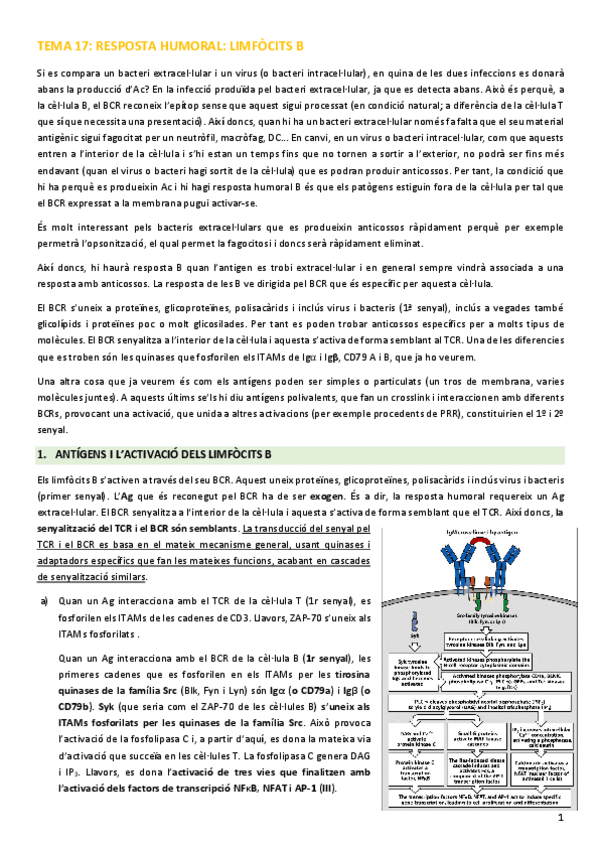 Miniatura del documento IM-Tema-17.pdf