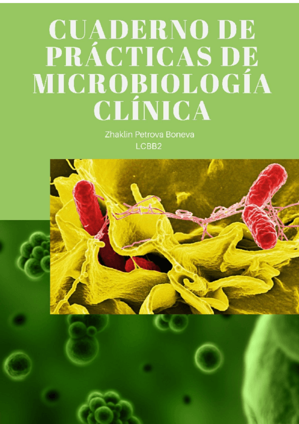 Miniatura del documento PRACTICAS910111213.pdf