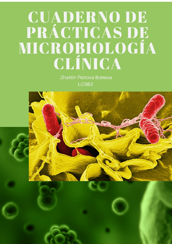 Miniatura del documento Practicas123.pdf